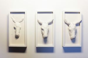 Le four à plâtre, les ânes (2)