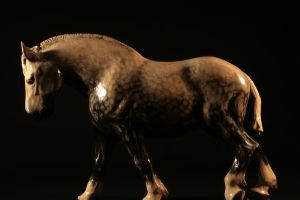 HORSE #5