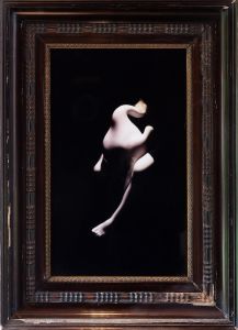 Swann I, framed