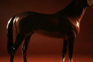 HORSE #1